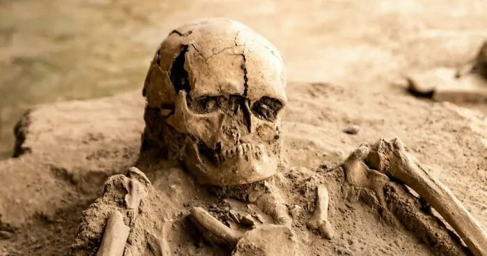 Cleaners Hired By Homeowner Discover Decomposed Remains Of Mother Who Vanished 10 Years Ago