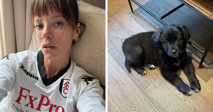Lily Allen Says She Returned "F---ing" Puppy For Eating Family’s Passports: “[It] Ruined My Life”