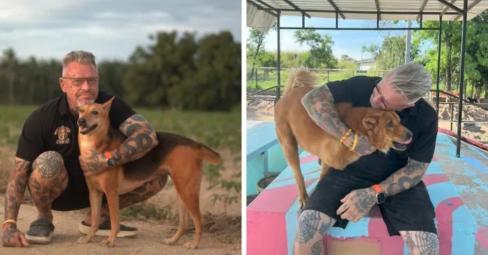 "Together For The Love Of Dogs": Author Hosts Week-Long Virtual Party For International Dog Day
