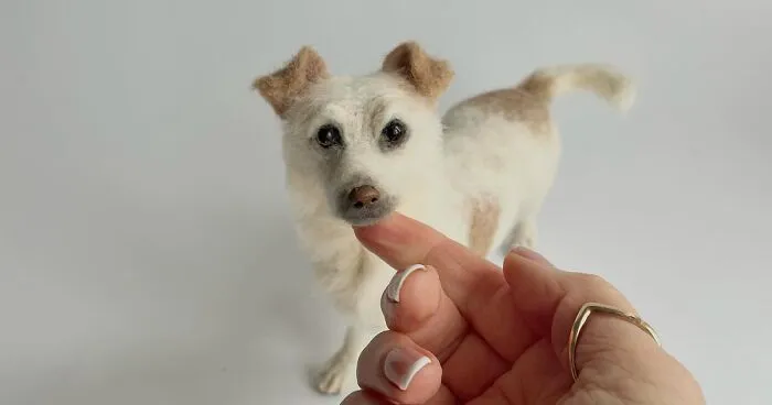 This Artist Makes Extremely Realistic Wool Figures Of Animals, And Here Are 30 Of The Best