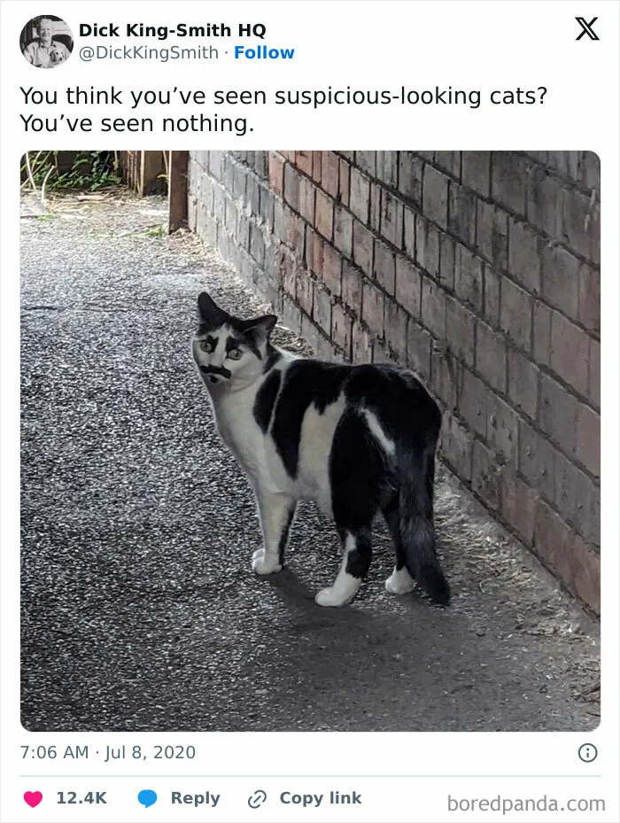 Perfect Disguise