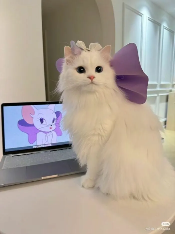 20 Adorables memes de animales para alegrarte el día