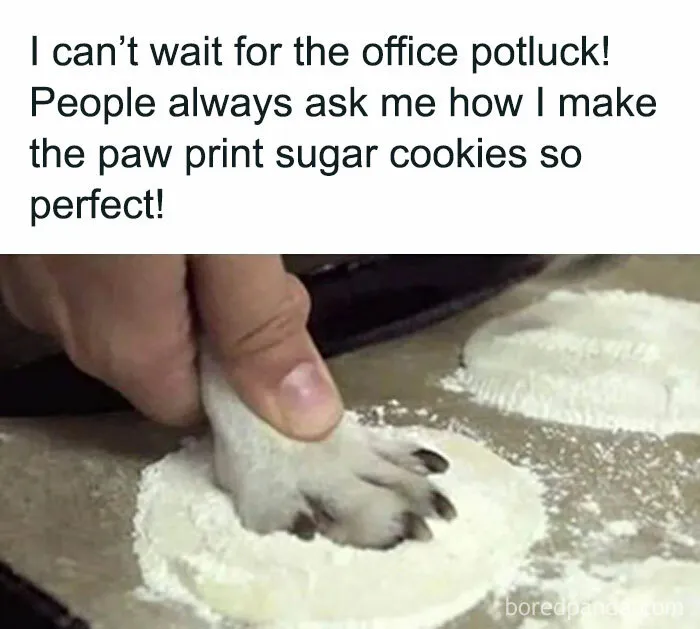 Hand pressing a dog's paw into flour to make paw print sugar cookies in a humorous animal meme about therapy.
