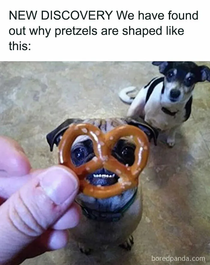 These Faces Deserve An Award For Brightening Your Day