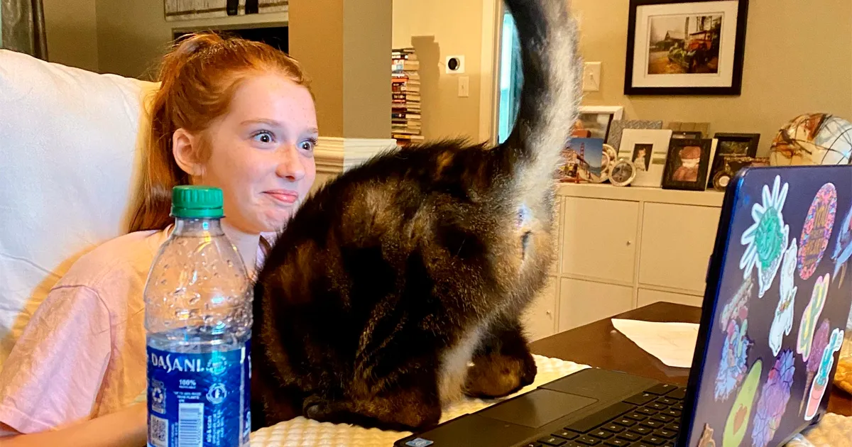 20 Divertidos memes demostrando que los gatos tienen muy mala leche