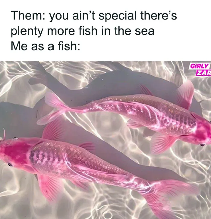 30 Funny Memes To Chuckle At When Life Gets Difficult Difficult Lemon Difficult