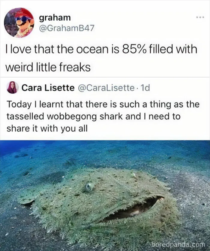 50 Funniest Memes From An IG Page That Has 1.3M People Laughing