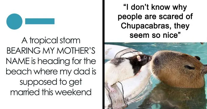 50 Funniest Memes From An IG Page That Has 1.3M People Laughing