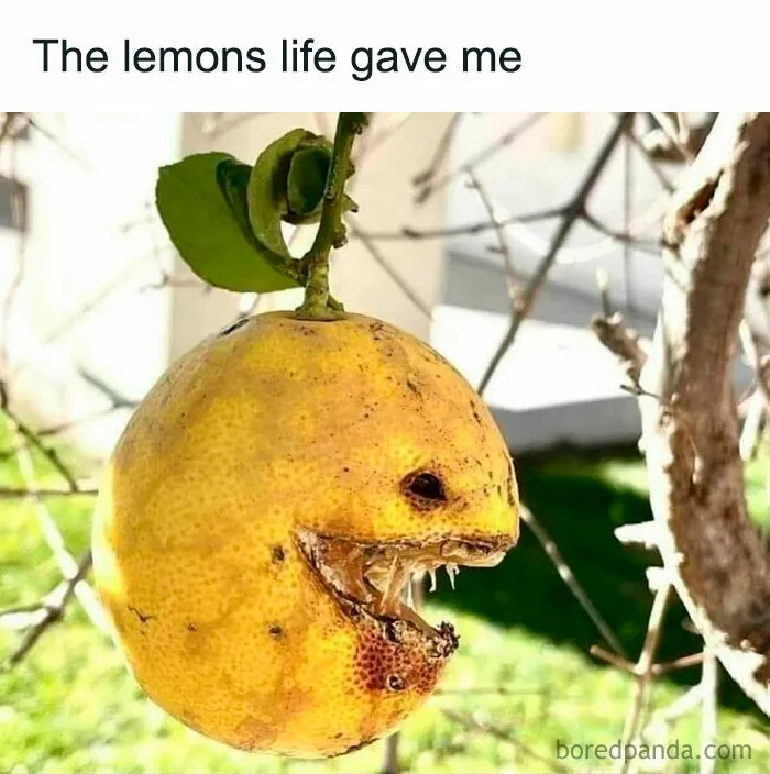 9 Out Of 10 Therapists Approve: 50 Funny And Relatable Memes For Mental Health