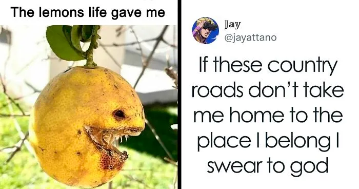 9 Out Of 10 Therapists Approve: 50 Funny And Relatable Memes For Mental Health