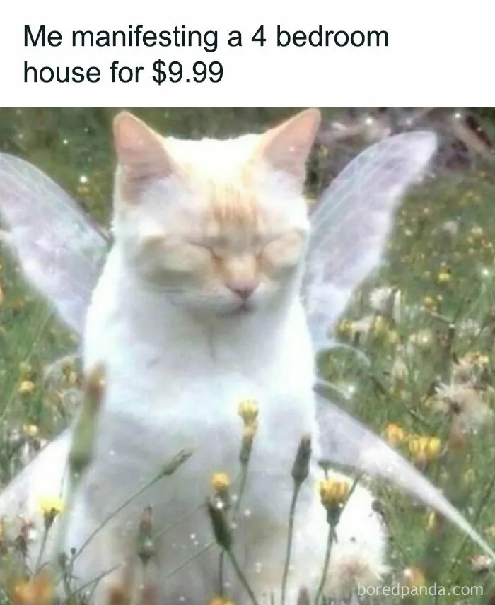 50 Hilariously Relatable Memes If You Need To Feel Seen Today