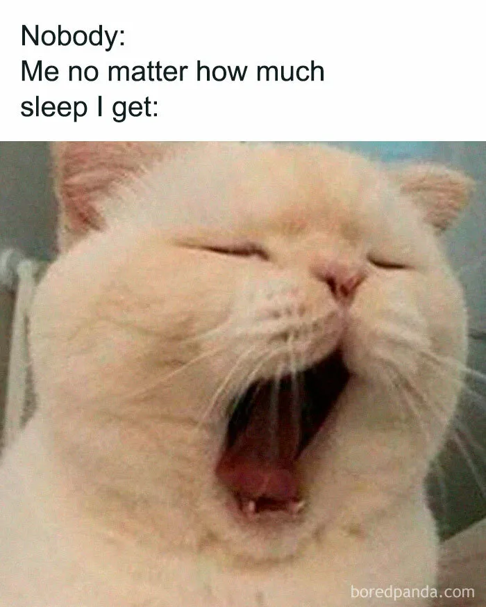 50 Hilariously Relatable Memes If You Need To Feel Seen Today