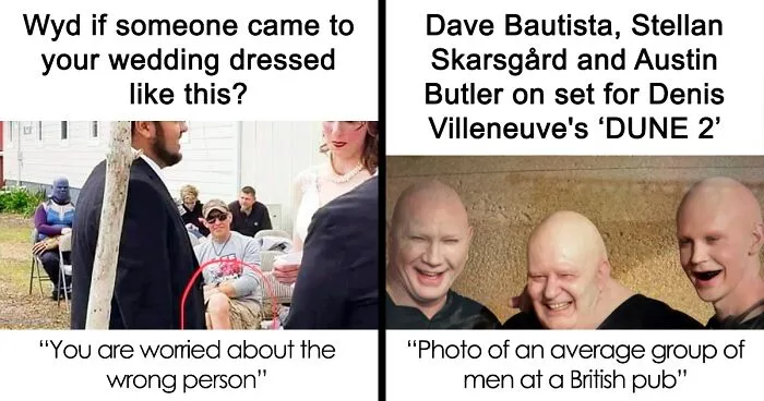 45 Ridiculously Funny Memes To Scroll Through When You’re Having One Of Those Days