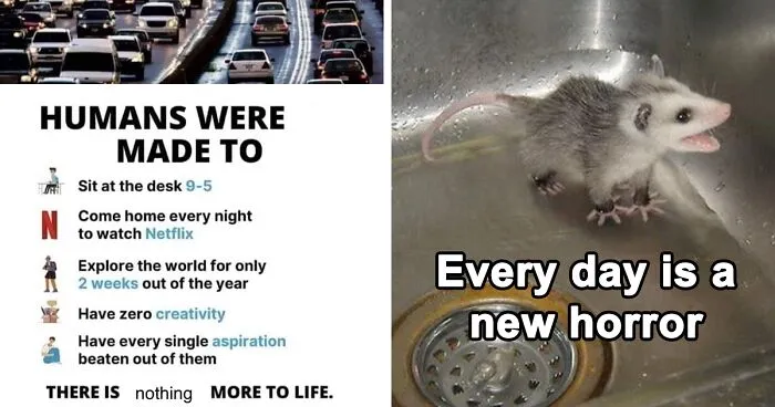 50 Memes That Turn Nothingness And Despair Into Something To Laugh About