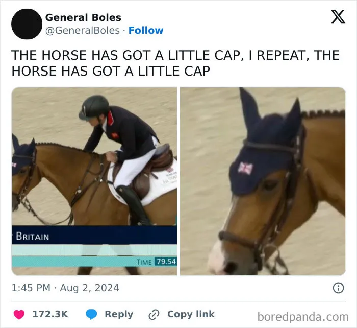 50 Times The 2024 Paris Olympic Games Were The Source Of The Funniest Memes And Reactions