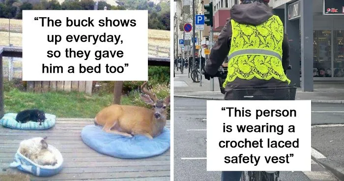 50 Very Random Pics To Bring A Sprinkle Of Joy Into Your Life