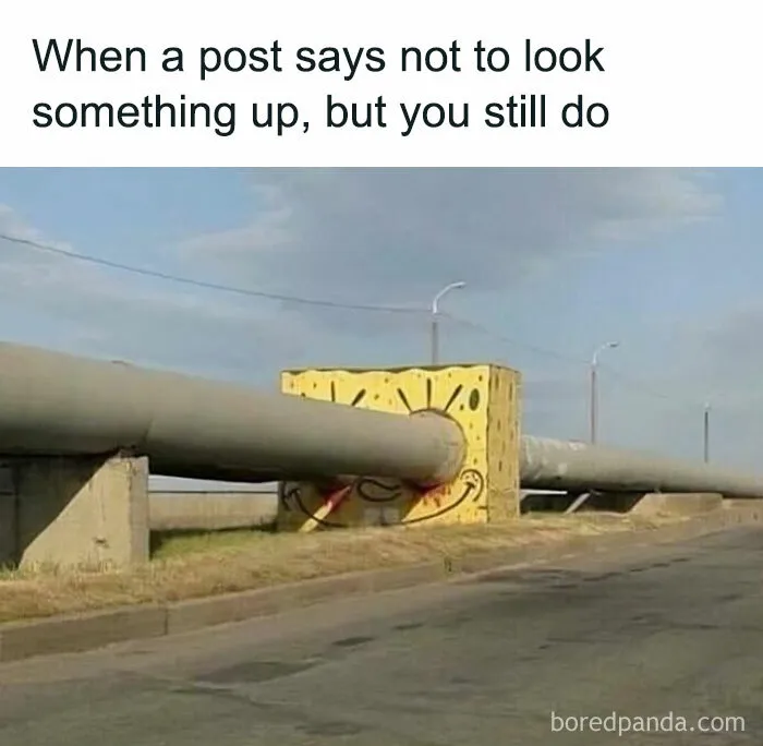 50 Hilariously Relatable Memes: SpongeBob Edition