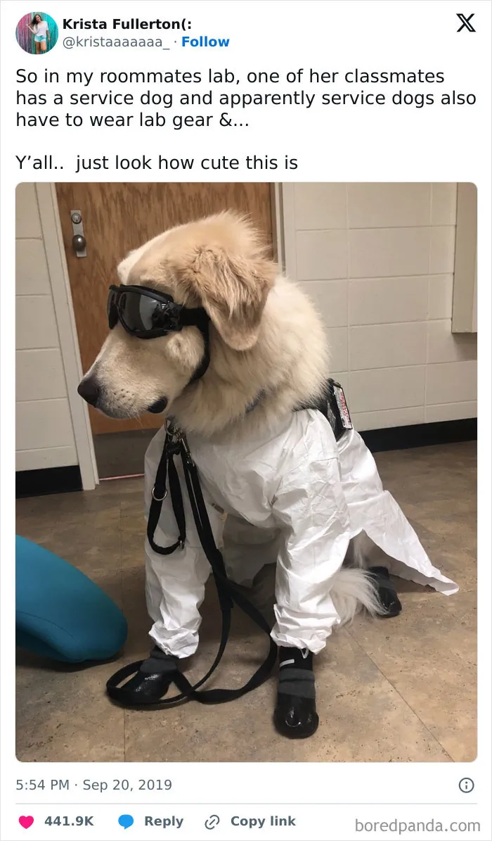 50 Positive Science Posts To Remind Us Of All The Good That’s Happening In The World