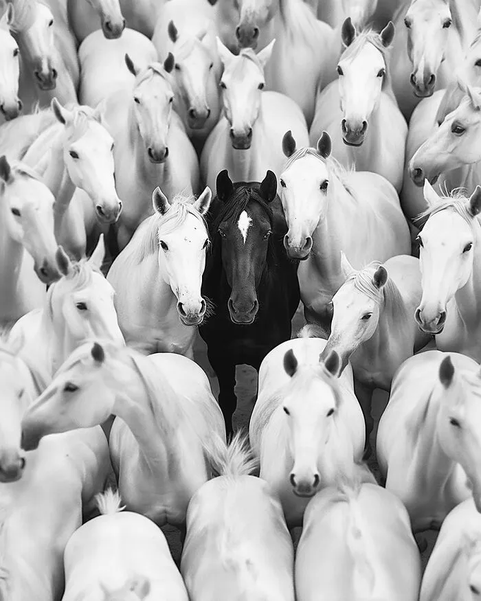 35 Photos I Took To Capture A Moment And Convey A World Of Meaning