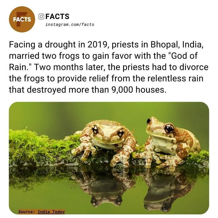“Enlighten Yourself”: 50 Random Facts That Are Too Interesting To Scroll Past (New Pics)