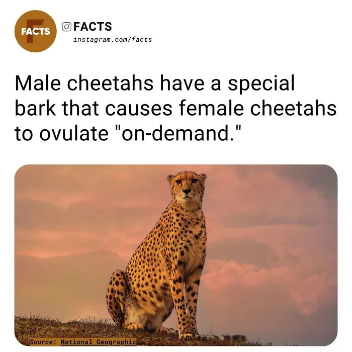 “Enlighten Yourself”: 50 Random Facts That Are Too Interesting To Scroll Past (New Pics)