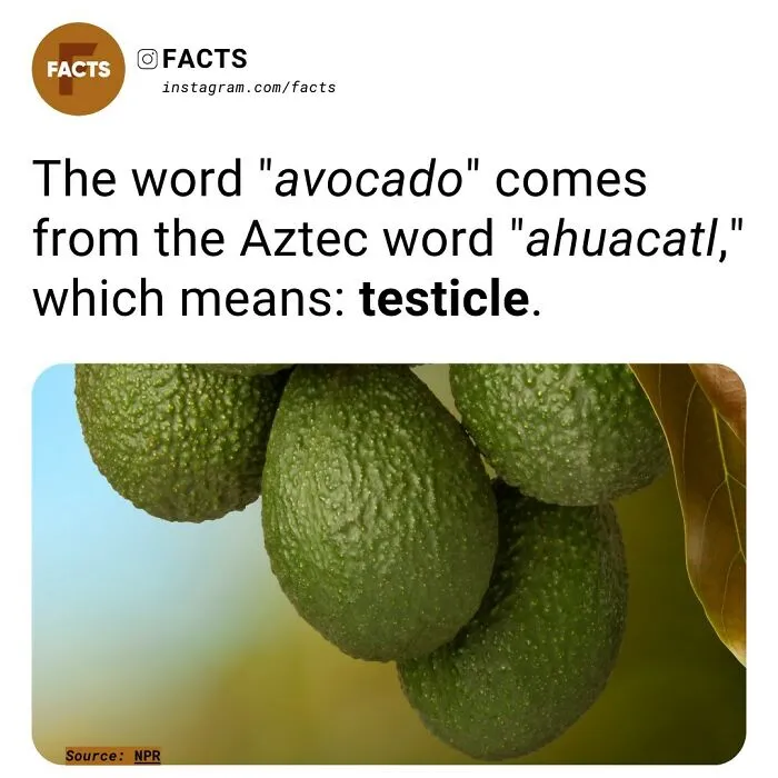 “Enlighten Yourself”: 50 Random Facts That Are Too Interesting To Scroll Past (New Pics)