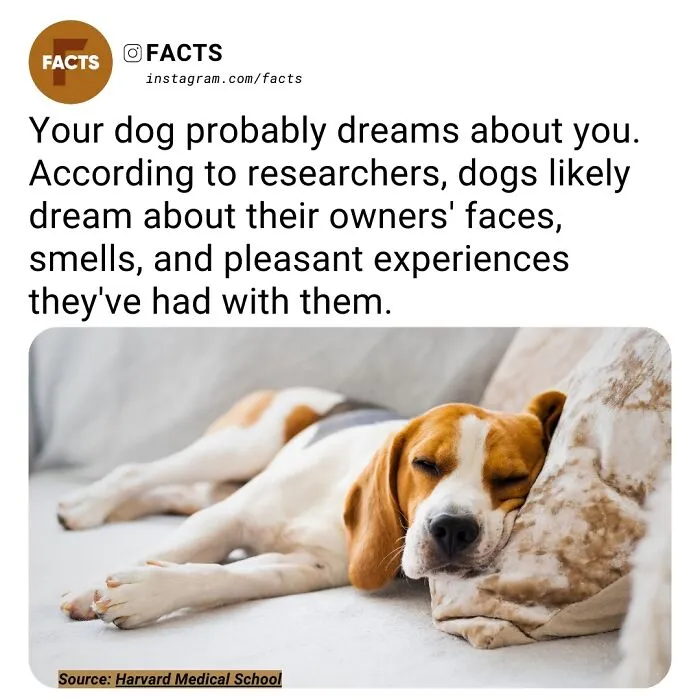 “Enlighten Yourself”: 50 Random Facts That Are Too Interesting To Scroll Past (New Pics)