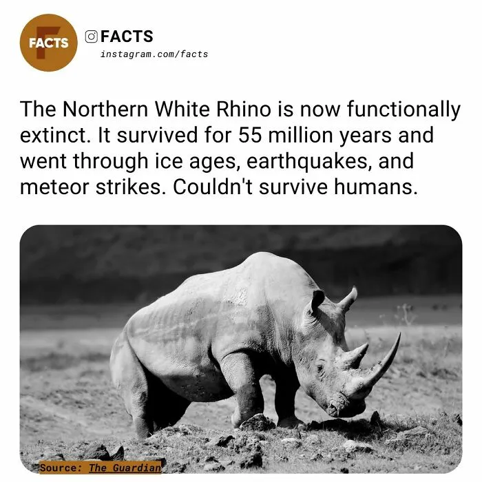 “Enlighten Yourself”: 50 Random Facts That Are Too Interesting To Scroll Past (New Pics)