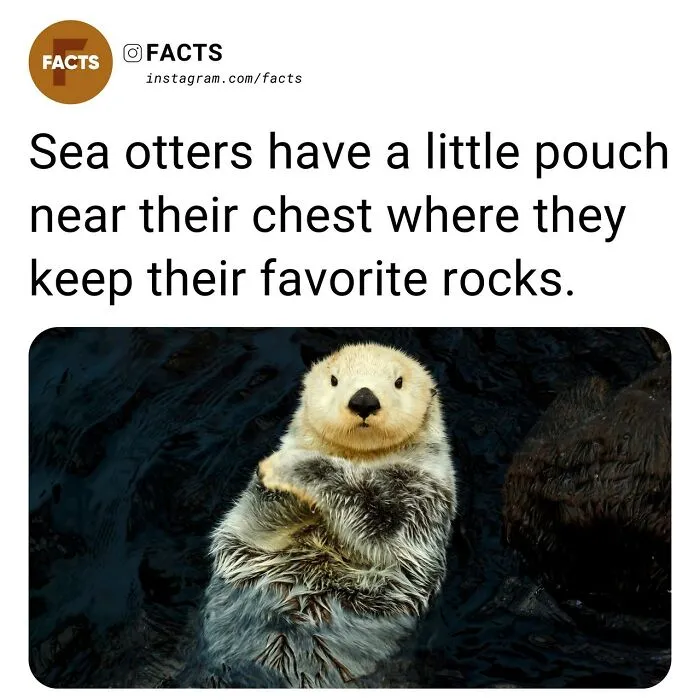 “Enlighten Yourself”: 50 Random Facts That Are Too Interesting To Scroll Past (New Pics)