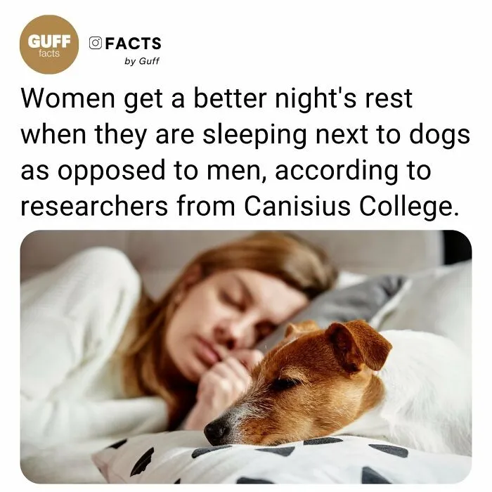 “Enlighten Yourself”: 50 Random Facts That Are Too Interesting To Scroll Past (New Pics)