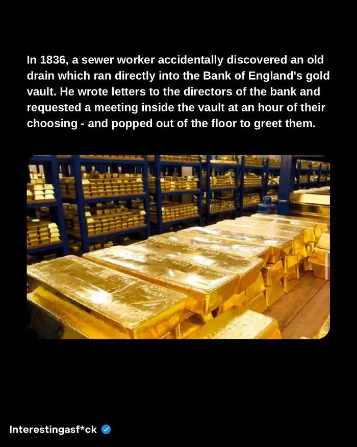 50 Fun And Fascinating Facts For People Who Eat Knowledge For Breakfast