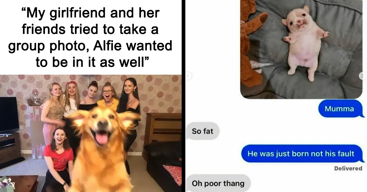 38 Heartwarming Posts To Combat The Negativity Of The World