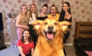 38 Heartwarming Posts To Combat The Negativity Of The World