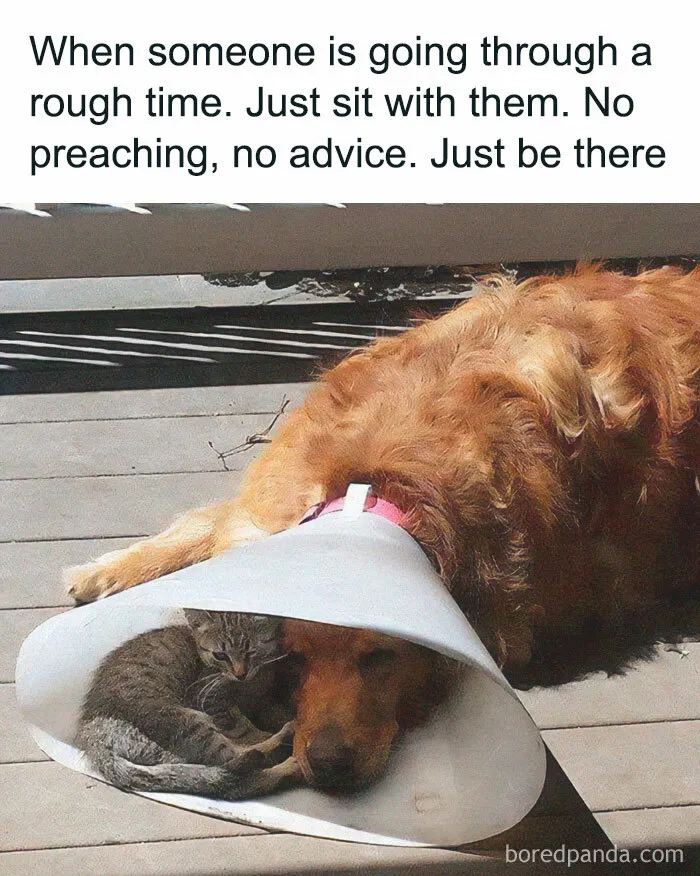50 Wholesome Memes And Posts That Remind Us The World Isn’t All Bad