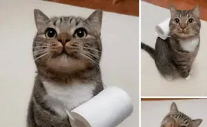 50 Wholesome Memes And Posts That Remind Us The World Isn’t All Bad