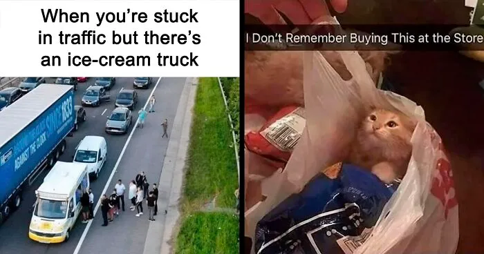 50 Wholesome Memes And Posts That Remind Us The World Isn’t All Bad