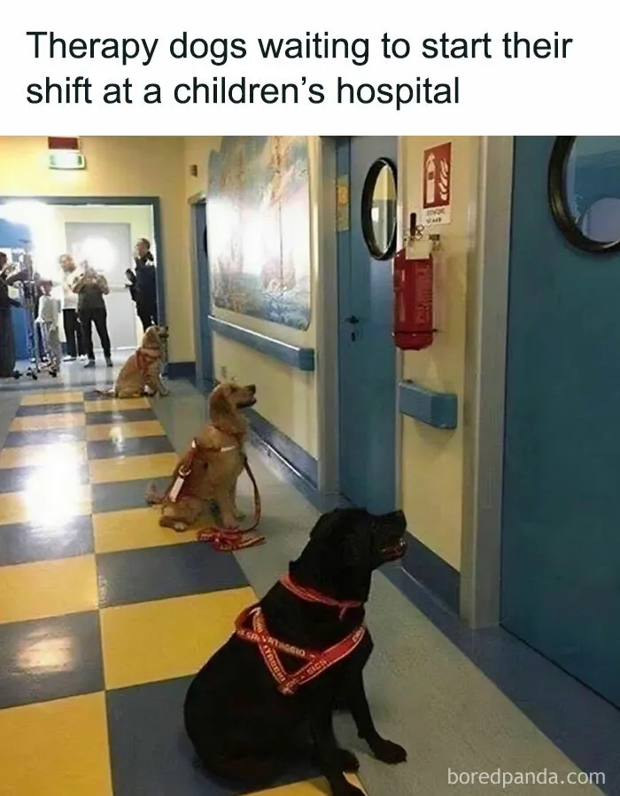 Kind-Stories