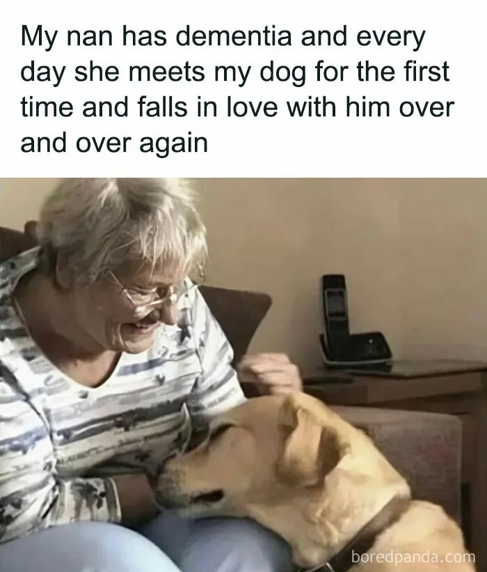 50 Wholesome Memes Shared By This Page To Brighten Up Your Day