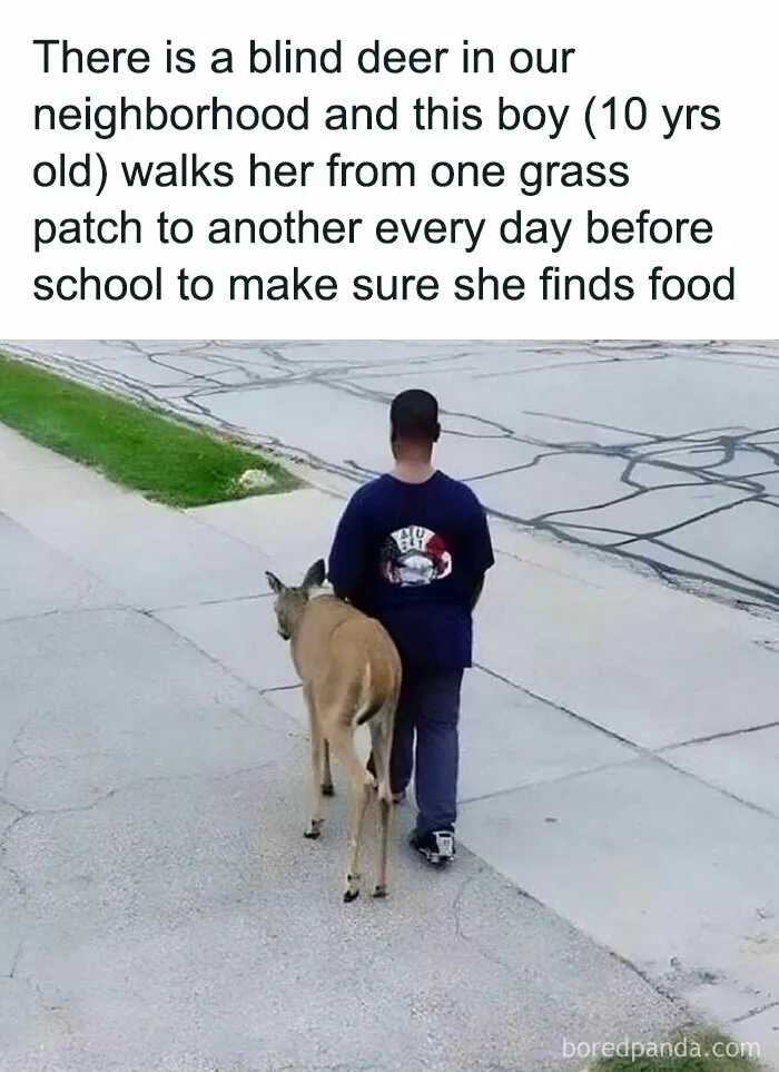 50 Wholesome Memes Shared By This Page To Brighten Up Your Day