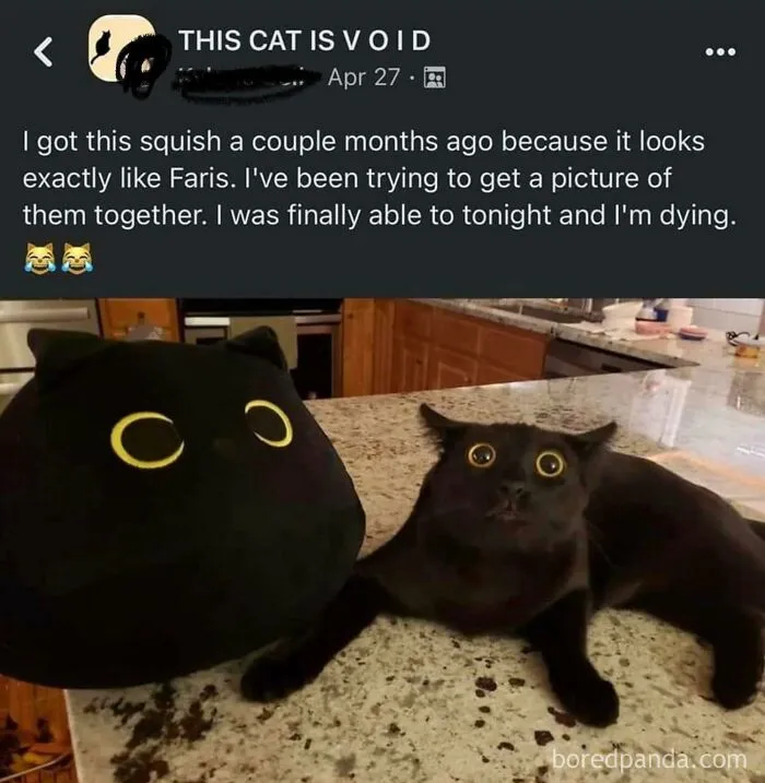 50 Heartwarming Posts To Combat The Negativity Of The World