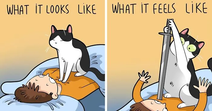 The Daily Realities Of Living With A Cat: 30 New Comics By Lingvistov
