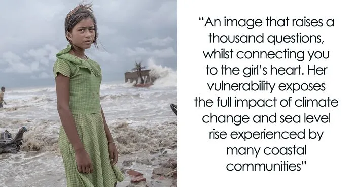 42 Eye-Opening Winning Images Of The 2024 Mangrove Photography Awards