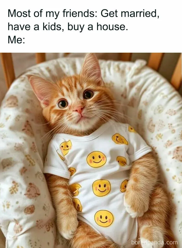50 Hilarious Cat Memes That Capture Feline Attitude Perfectly, Courtesy Of This FB Page (New Pics)