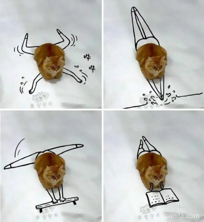 50 Hilarious Cat Memes That Capture Feline Attitude Perfectly, Courtesy Of This FB Page (New Pics)