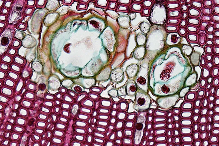 50 People Share The Most Bone-Chilling Medical Facts That Might Give You Goosebumps