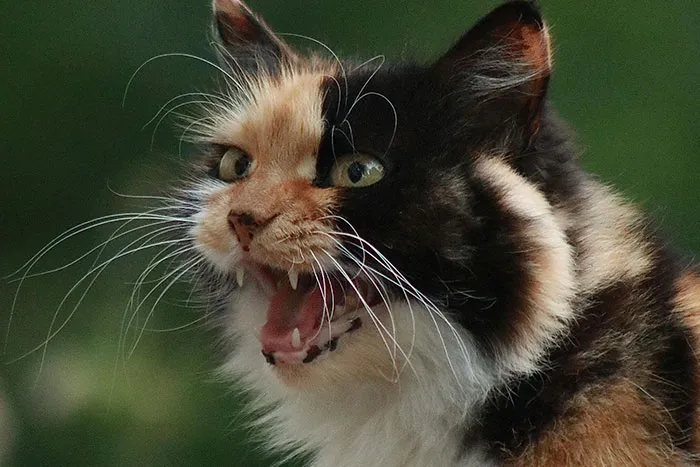 50 People Share The Most Bone-Chilling Medical Facts That Might Give You Goosebumps