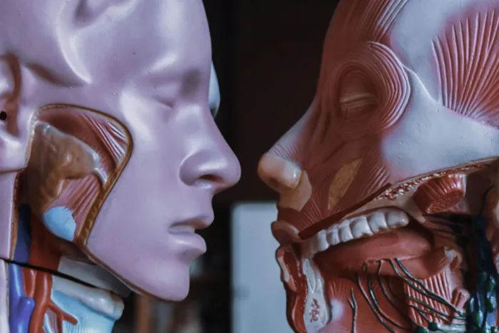 50 People Share The Most Bone-Chilling Medical Facts That Might Give You Goosebumps