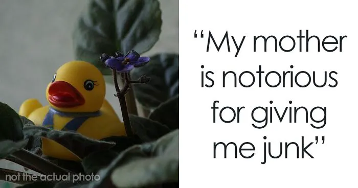 Guy Hides 200 Ducks In His Mom’s House To Get Back At Her For Junk, His “Revenge” Backfires