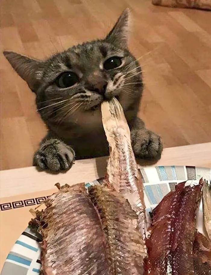 Cute Little Thief
