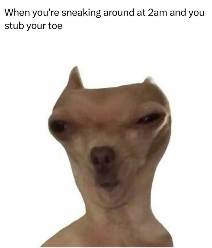 50 Hilariously Relatable Memes If You Need To Feel Seen Today